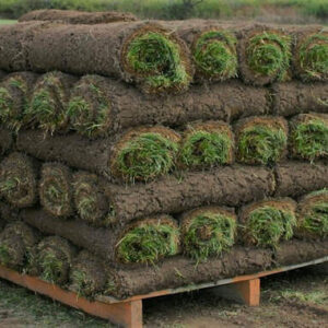 Pallet of Sod