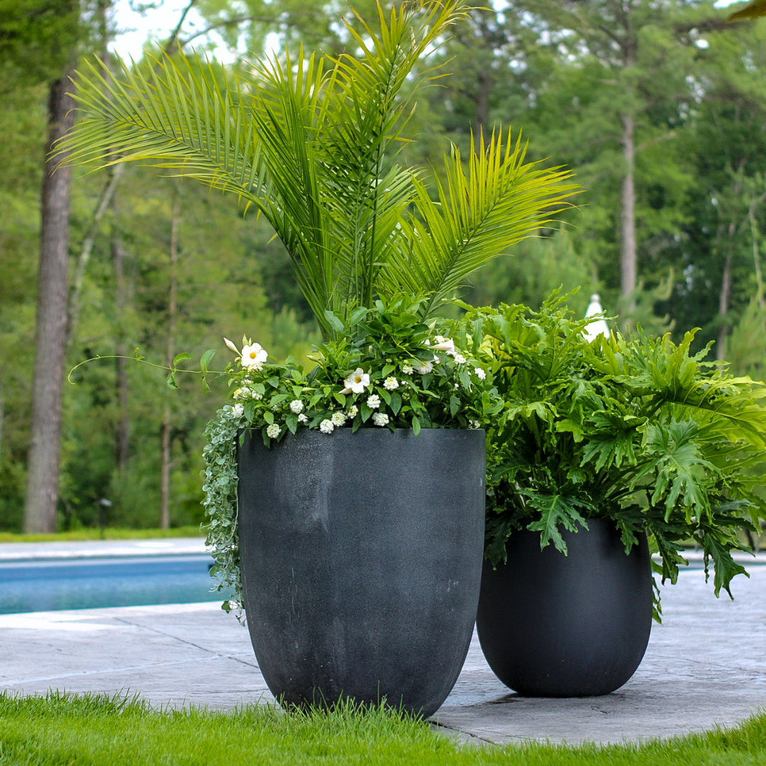 poolside container gardens